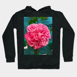 Pink Rose Hoodie